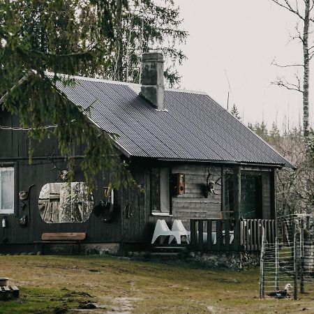 Private Farm Jakuzzi Sauna In The Forest Talsi Exterior photo
