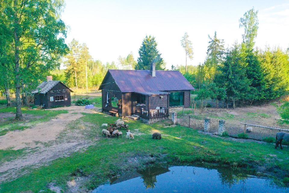 Private Farm Jakuzzi Sauna In The Forest Talsi Exterior photo