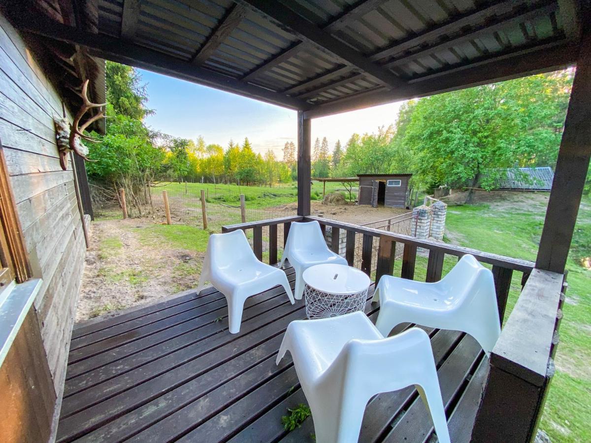 Private Farm Jakuzzi Sauna In The Forest Talsi Exterior photo