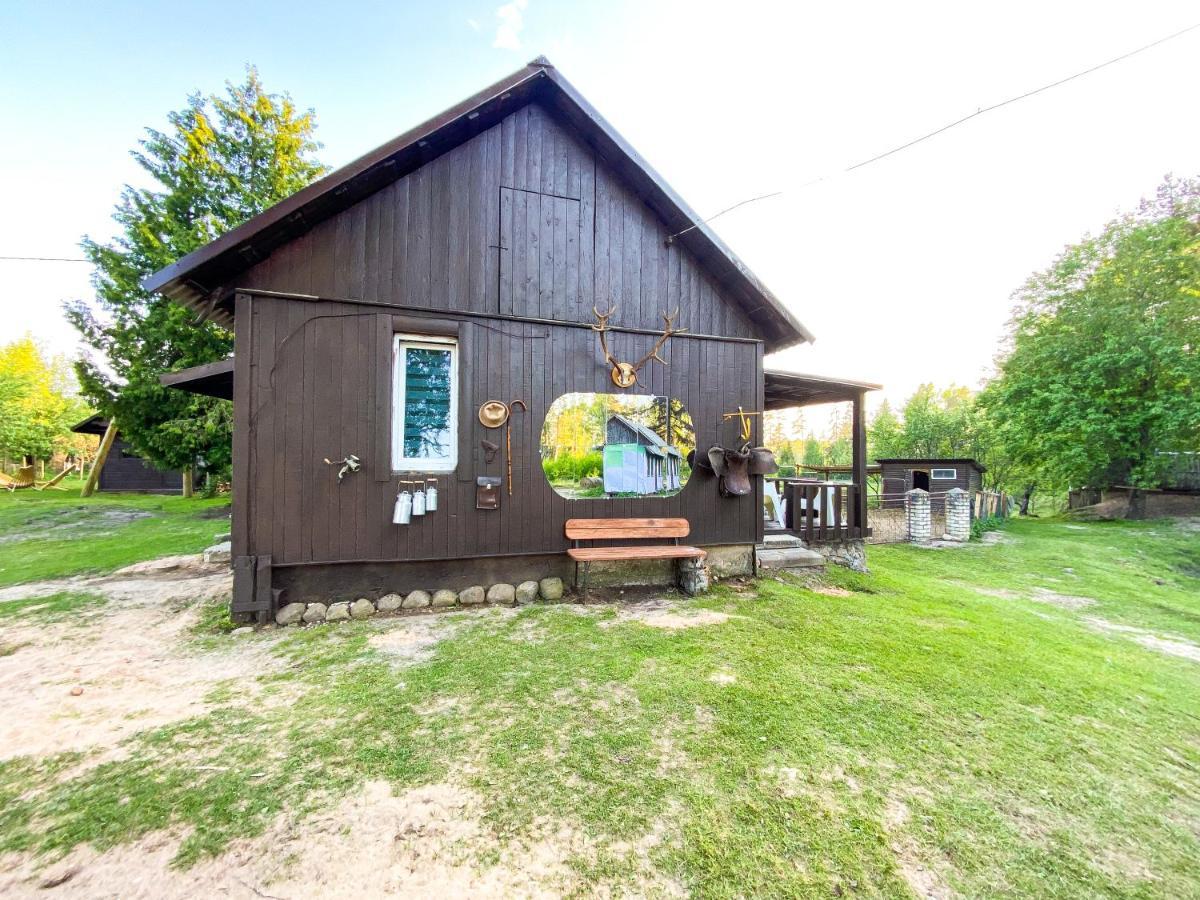 Private Farm Jakuzzi Sauna In The Forest Talsi Exterior photo