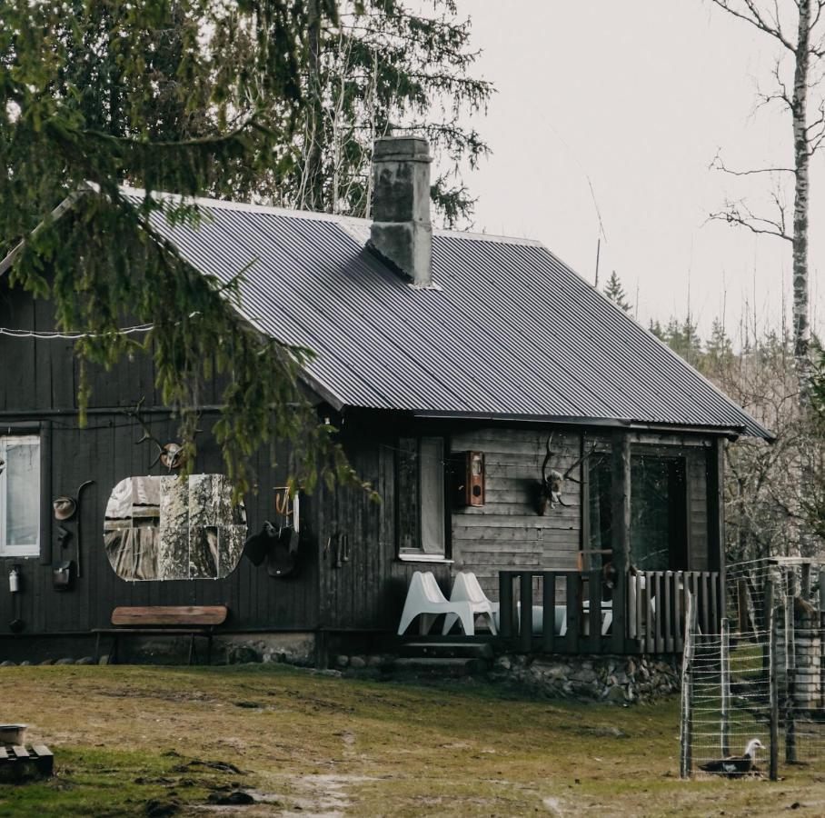 Private Farm Jakuzzi Sauna In The Forest Talsi Exterior photo
